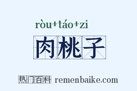 肉桃子是什么意思的图片